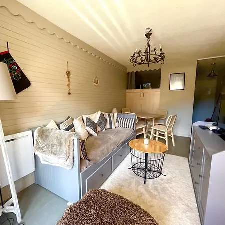35 M2 4p Proche Des Pistes De La Foux D Avec Piscine Chauffee Saison Ete Et Wifi Apartmán