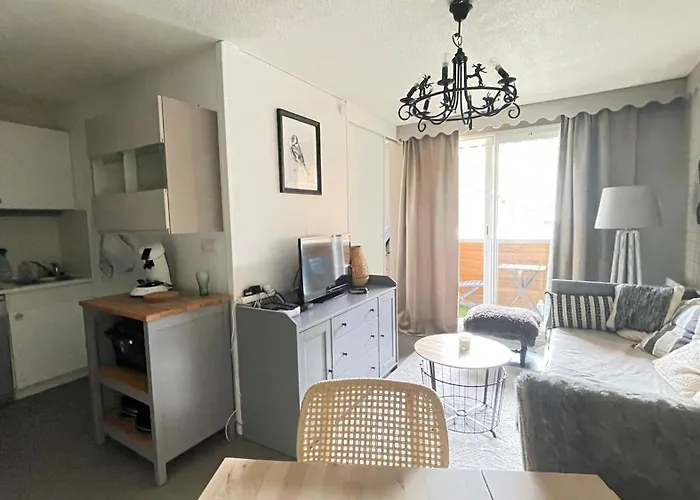 35 M2 4p Proche Des Pistes De La Foux D *